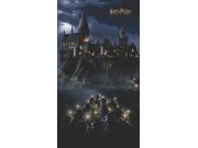 Dječja flis fototapeta Harry Potter FTD2P5621 | 150 x 270 cm Fototapete