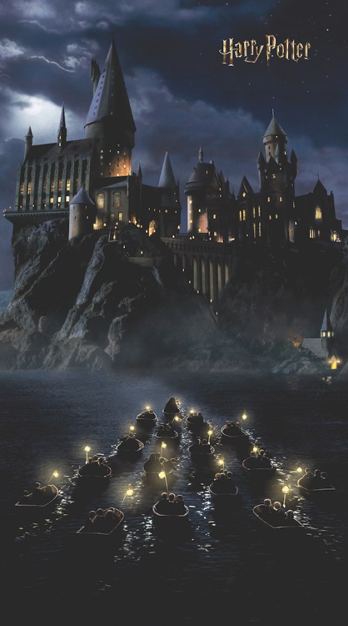 Dječja flis fototapeta Harry Potter FTD2P5621 | 150 x 270 cm - Fototapete