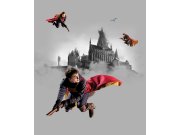 Dječja flis fototapeta Harry Potter FTD3P5167 | 225 x 270 cm Fototapete