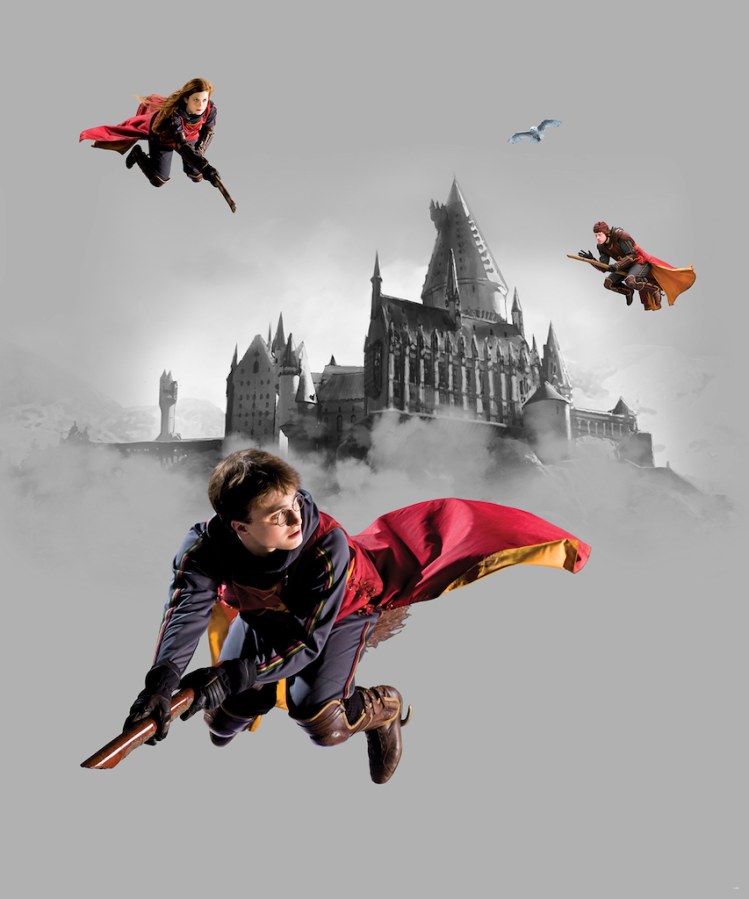 Dječja flis fototapeta Harry Potter FTD3P5167 | 225 x 270 cm - Fototapete