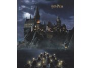 Dječja flis fototapeta Harry Potter FTD3P5175 | 225 x 270 cm Fototapete