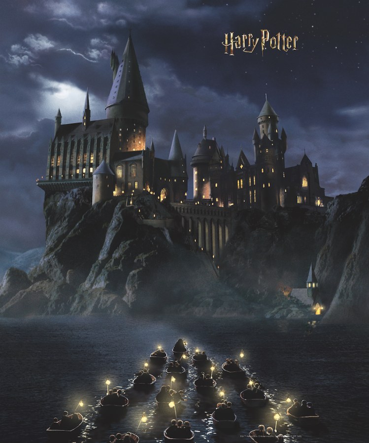 Dječja flis fototapeta Harry Potter FTD3P5175 | 225 x 270 cm - Fototapete