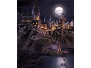 Dječja flis fototapeta Harry Potter FTD3P5177 | 225 x 270 cm