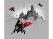 Dječja flis fototapeta Harry Potter FTD4P5095 | 300 x 270 cm