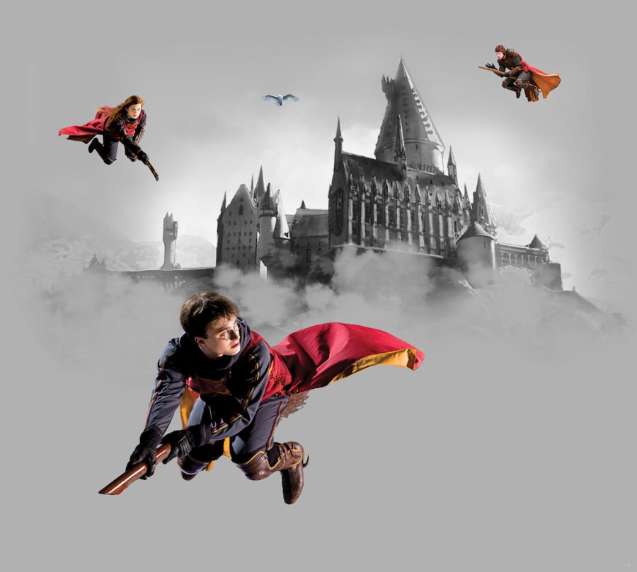 Dječja flis fototapeta Harry Potter FTD4P5095 | 300 x 270 cm - Fototapete