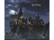 Dječja flis fototapeta Harry Potter FTD4P7803 | 300 x 270 cm Fototapete