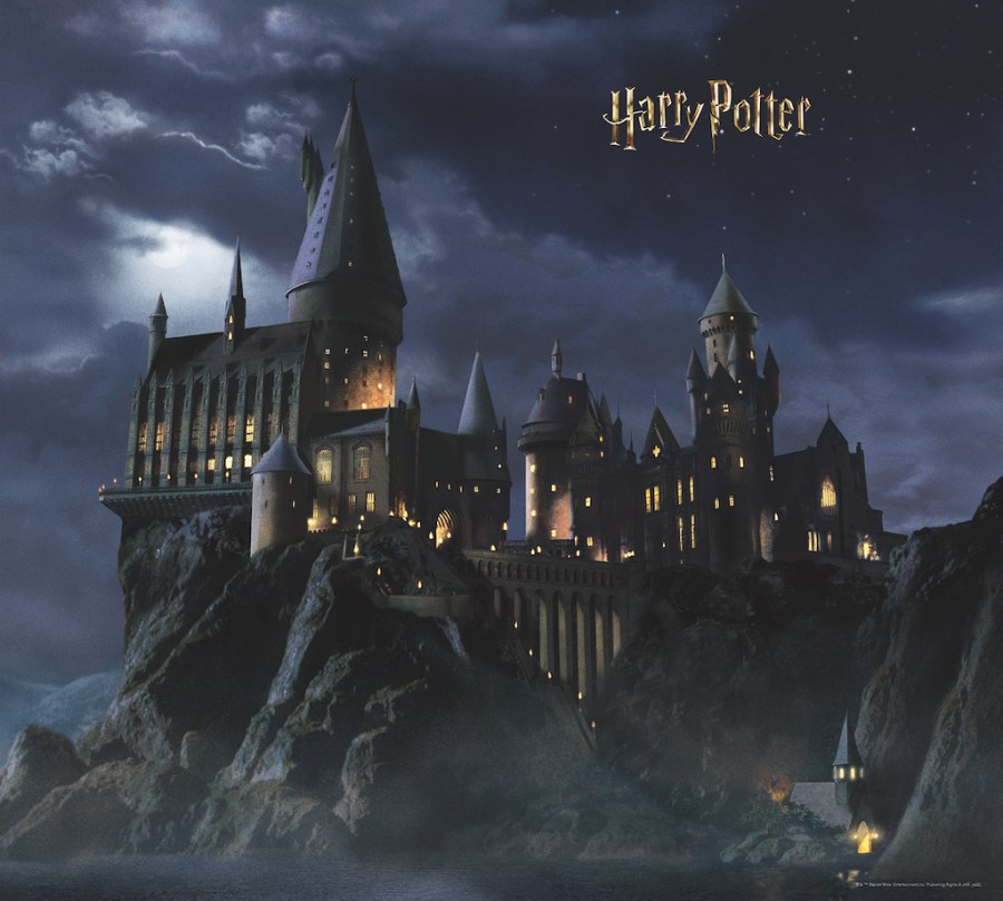 Dječja flis fototapeta Harry Potter FTD4P7803 | 300 x 270 cm - Fototapete