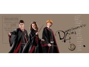 Dječja flis fototapeta Harry Potter FTDNH5515 | 170 x 75 cm