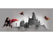 Dječja flis fototapeta Harry Potter FTDNH5517 | 170 x 75 cm