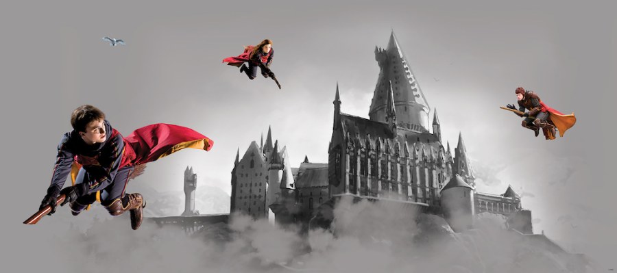 Dječja flis fototapeta Harry Potter FTDNH5517 | 170 x 75 cm - Fototapete