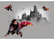 Dječja flis fototapeta Harry Potter FTDNM5293 | 155 x 110 cm