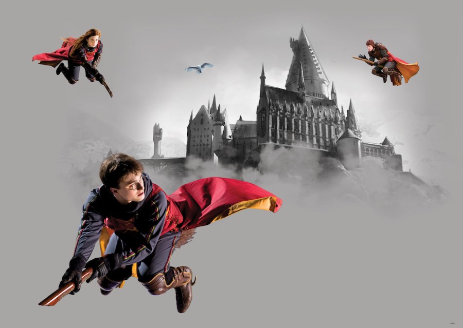 Dječja flis fototapeta Harry Potter FTDNM5293 | 155 x 110 cm - Fototapete