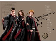 Dječja flis fototapeta Harry Potter FTDNM5295 | 155 x 110 cm Fototapete