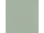 Flis tapeta za zid 690743 Allegretto Rasch