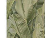 Limonta - Luksuzna tapeta 17803, Listovi, Lymphae | Ljepilo besplatno Luksuzna tapeta 17803, Listovi, Lymphae | Ljepilo besplatno