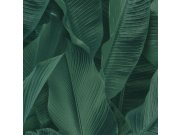 Limonta - Luksuzna tapeta 17813, Listovi, Lymphae | Ljepilo besplatno Luksuzna tapeta 17813, Listovi, Lymphae | Ljepilo besplatno