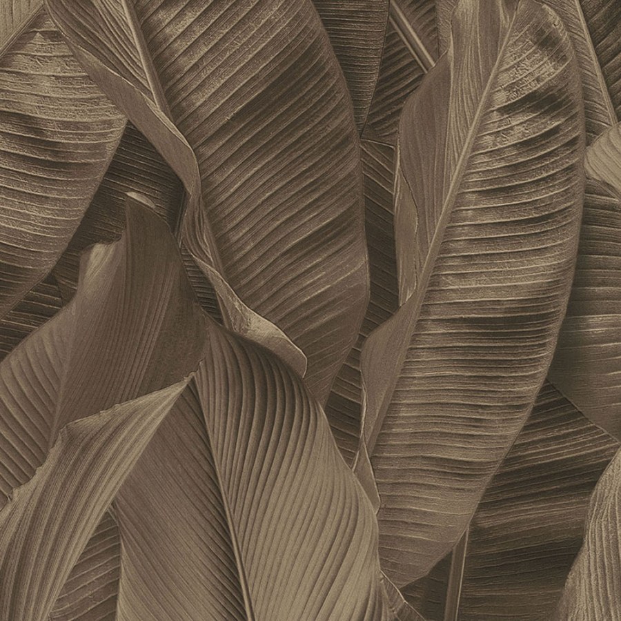 Luksuzna tapeta 17817, Listovi, Lymphae | Ljepilo besplatno Luksuzna tapeta 17817, Listovi, Lymphae | Ljepilo besplatno