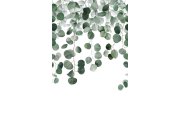 Flis fototapeta za zid, grančice, listovi, A73201 | Ljepilo gratis