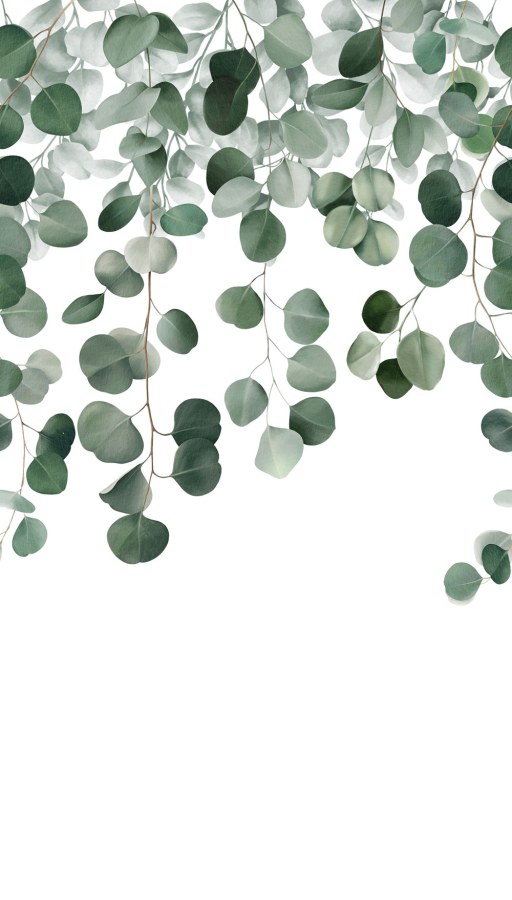 Flis fototapeta za zid, grančice, listovi, A73201 | Ljepilo gratis