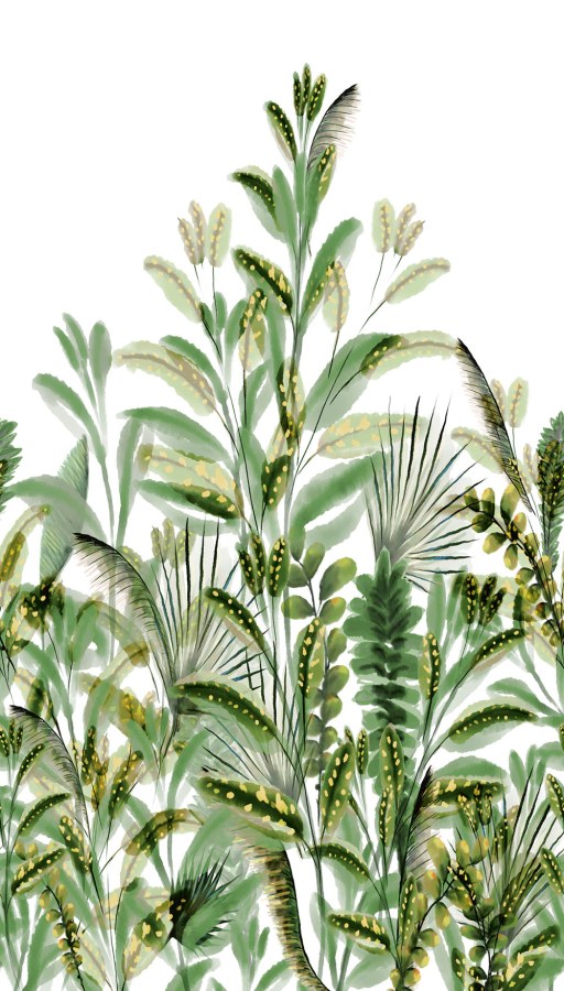 Flis fototapeta za zid, biljke, listovi, A59502 | Ljepilo gratis