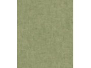 Flis tapeta za zid, zelena, beton, štuk, A51515 | Ljepilo gratis