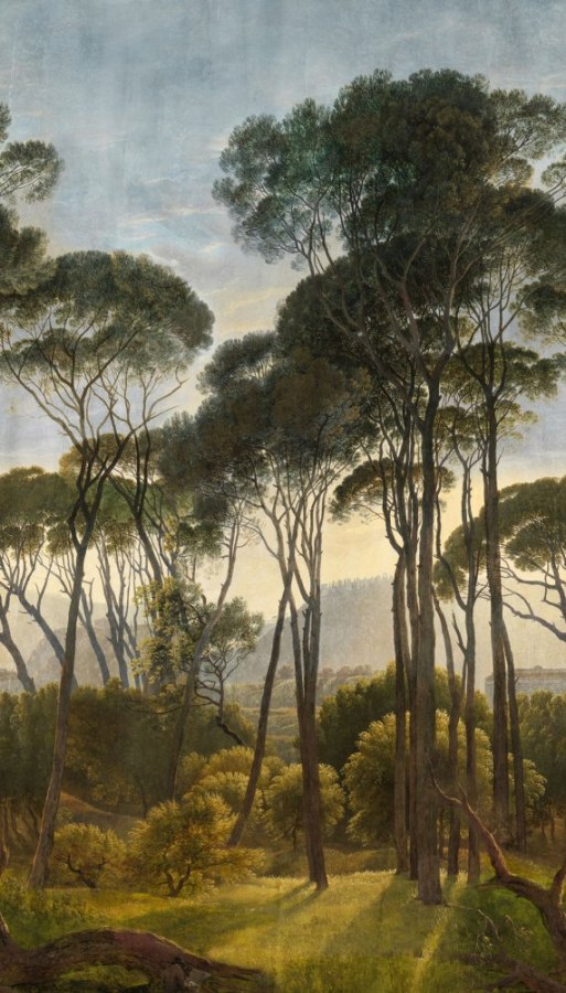 Flis fototapeta za zid, Stabla, priroda, A46301 | Ljepilo gratis