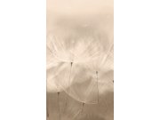 Flis fototapeta za zid, maslačci, 203801 | Ljepilo gratis