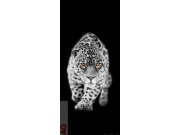 Flis foto tapeta AG Leopard FTNV-2897 | 90x202 cm Fototapete