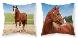 DETEXPOL Navlaka za jastučić Konj u ogradi micro Poliester, 40/40 cm Jastučići - pokrivači za jastuke