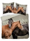 DETEXPOL Francuska posteljina Konji Pamuk, 220/200, 2x70/80 cm Posteljina foto print