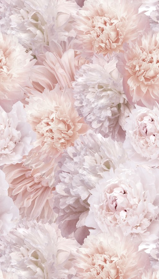 Flis fototapeta za zid, cvijeće, A77501, One roll, one motif 2, Grandeco | Ljepilo besplatno