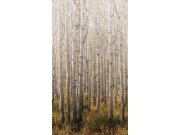 Flis fototapeta za zid, drveće, šuma, A42601, One roll, one motif 2, Grandeco | Ljepilo besplatno