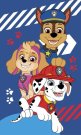 JERRY FABRICS Dječji ručnik Paw Patrol blue Pamuk - Frotir, 50/30 cm