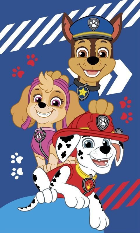 JERRY FABRICS Dječji ručnik Paw Patrol blue Pamuk - Frotir, 50/30 cm - Dječji ručnici 50×30 cm