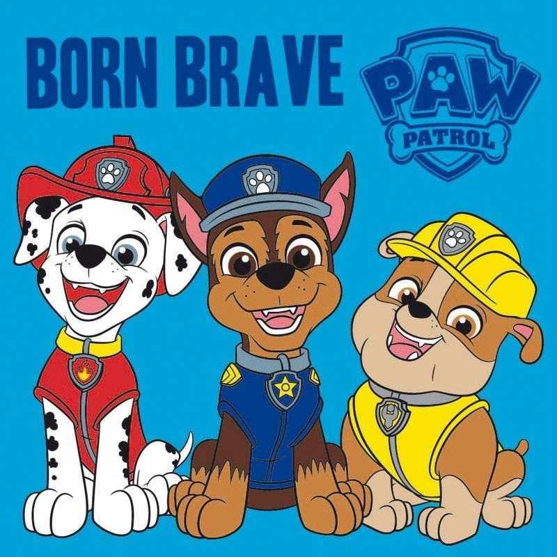 FARO Magični ručnik Paw Patrol Brave Pamuk - Frotir, 30/30 cm FARO Magični ručnik Paw Patrol Brave Pamuk - Frotir, 30/30 cm