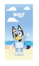 FARO Ručnik Micro Bluey plaža Polyester, 70/140 cm