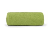 DETEXPOL Frotir ručnik PRIMO zelena Pamuk 450g, 50/30 cm Oušky, ručnici, pončo - Jednobojne ručnike 50×30 cm