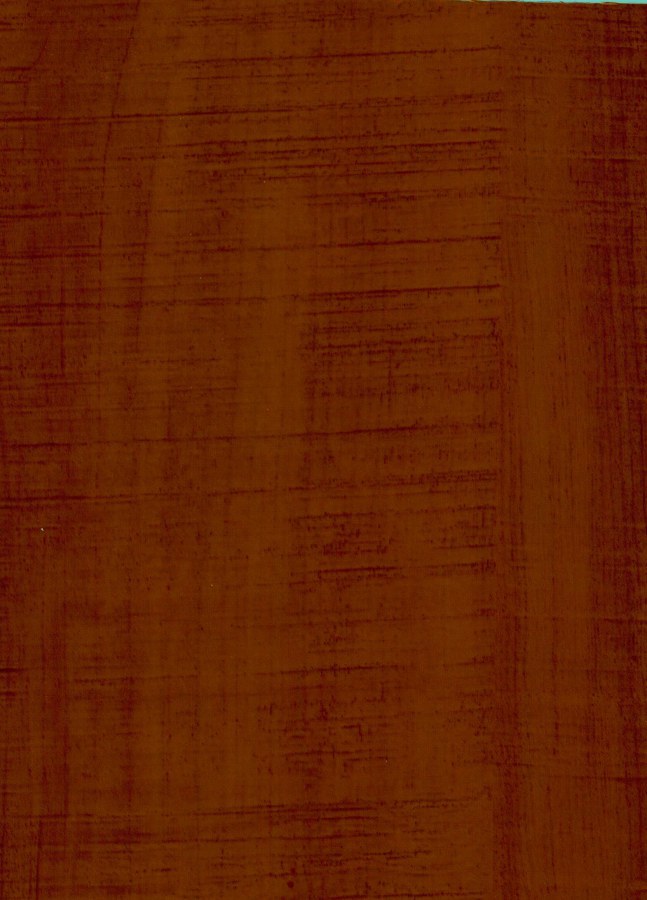 Samoljepljiva folija za vrata Orah Montana 99-6145 | 2,1 m x 90 cm