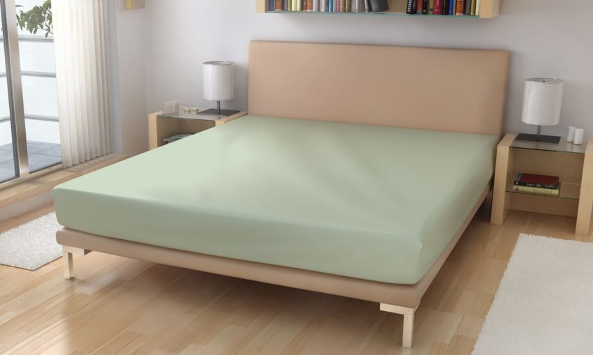 Polášek Froté plahta Menta Pamuk, Poliamiid, 220g/m, 90/200 cm - Frotir 90x200