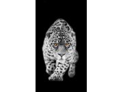 Foto zavjesa Tiger FCSL-7503, 140 x 245 cm Foto zavjese