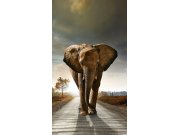 Foto zavjesa Elephant FCSL-7507, 140 x 245 cm Foto zavjese